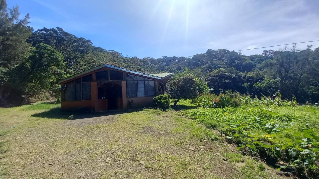 Finca Pantera Hotel Monteverde Buitenkant foto