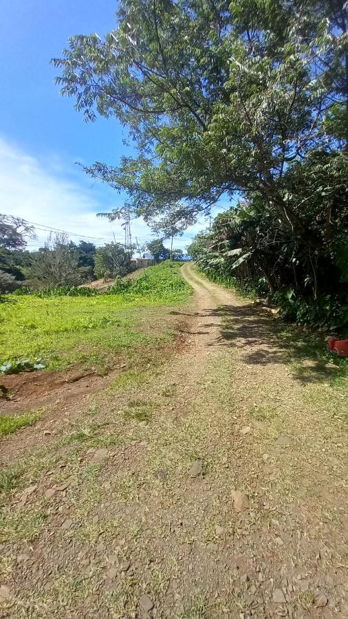 Finca Pantera Hotel Monteverde Buitenkant foto